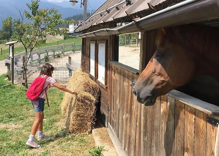 Casa Bernard Zortea Vanoi Cuore Verde Del Trentino