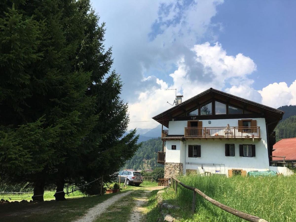 Casa Bernard Zortea Vanoi Cuore Del Trentino * Canal San Bovo