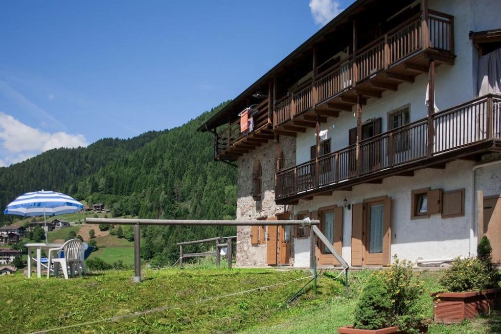 Casa Bernard Zortea Vanoi Cuore Del Trentino Holiday home