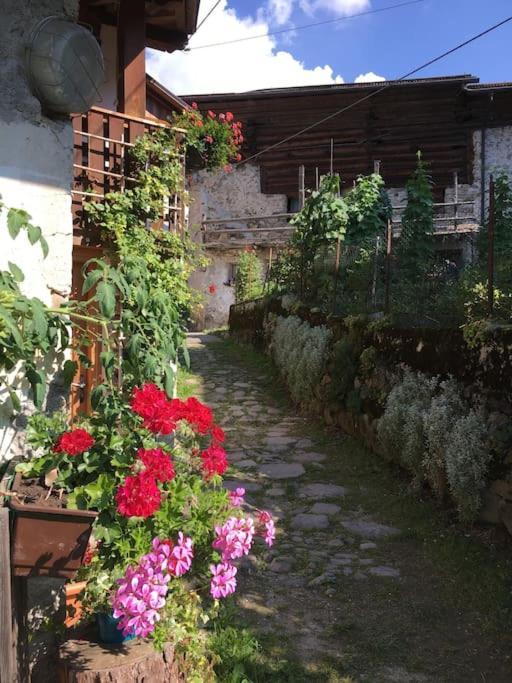 Casa Bernard Zortea Vanoi Cuore Del Trentino * Canal San Bovo