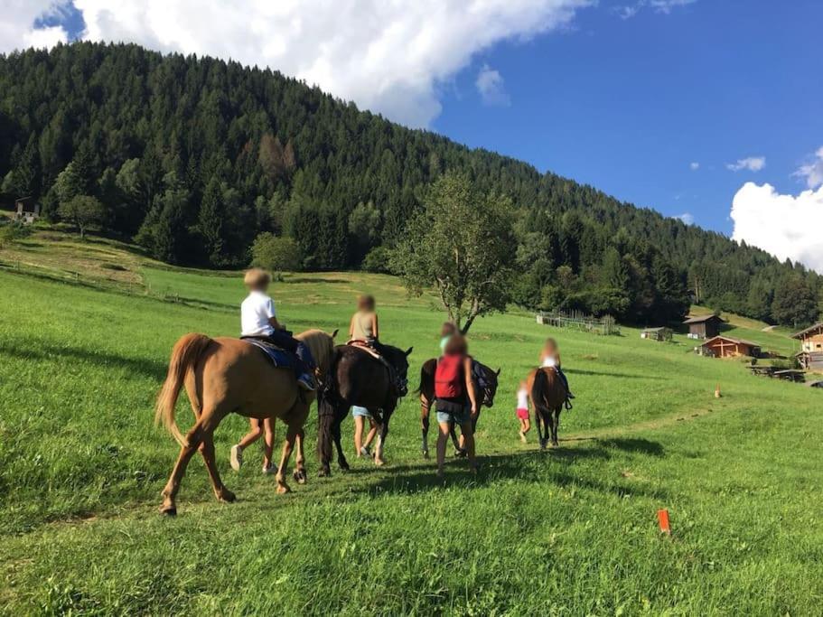 Casa Bernard Zortea Vanoi Cuore Del Trentino Ferienhaus